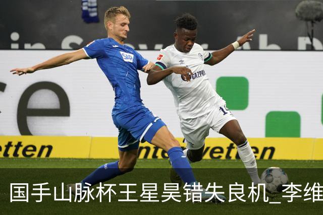 国手山脉杯王星昊错失良机 李维清三连胜将与申真谞争冠